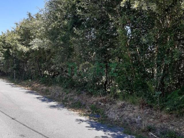 Terreno en venta en Allariz, Ourense