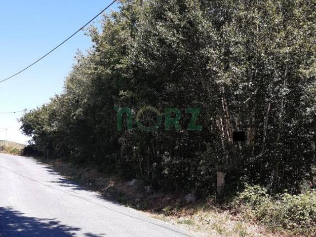 Terreno en venta en Allariz-Maceda, Galicia