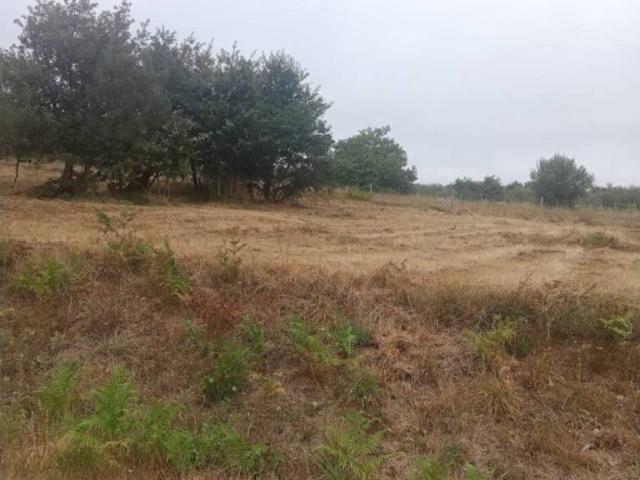 Terreno en venta en Allariz-Maceda, Galicia
