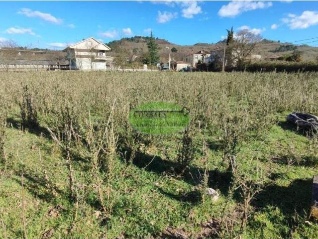 Terreno en venta en Allariz-Maceda, Galicia