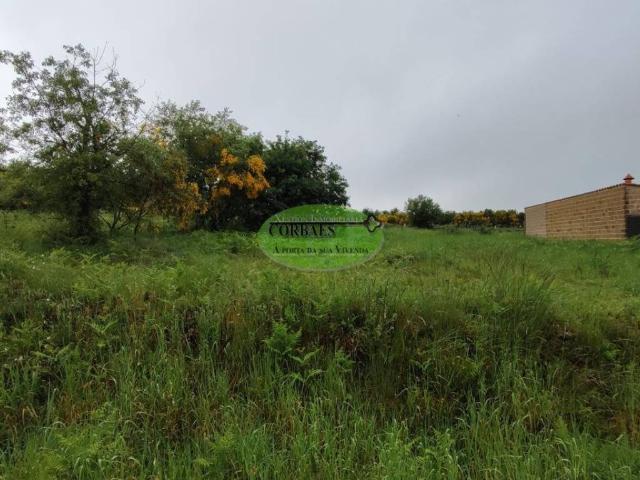 Terreno en venta en Allariz, Ourense