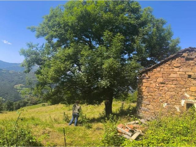 Terreno en venta en Aller