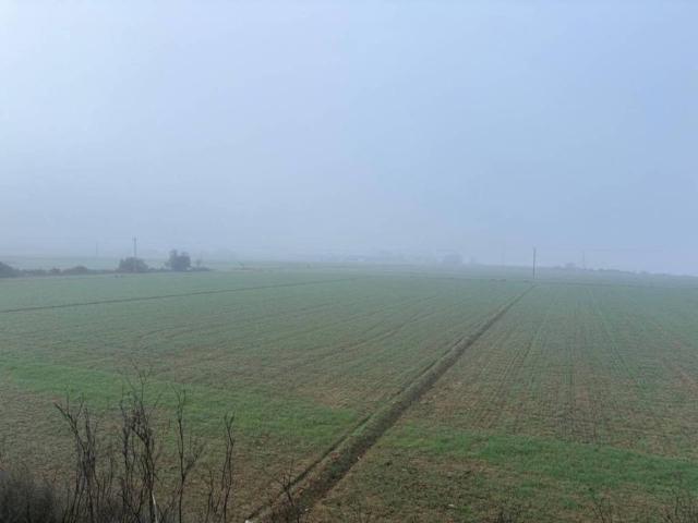 Terreno en venta en Segrià, Catalunya