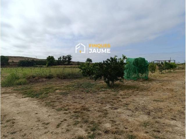 Terreno en venta en Almacelles, Lleida