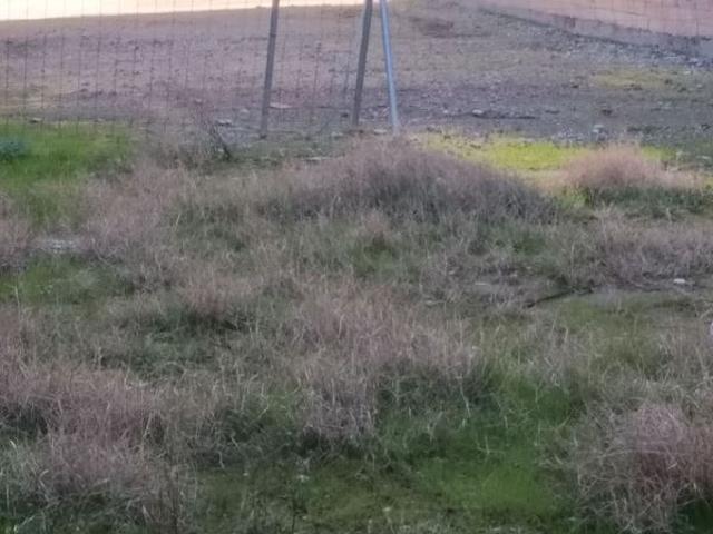 Terreno en venta en Segrià, Catalunya