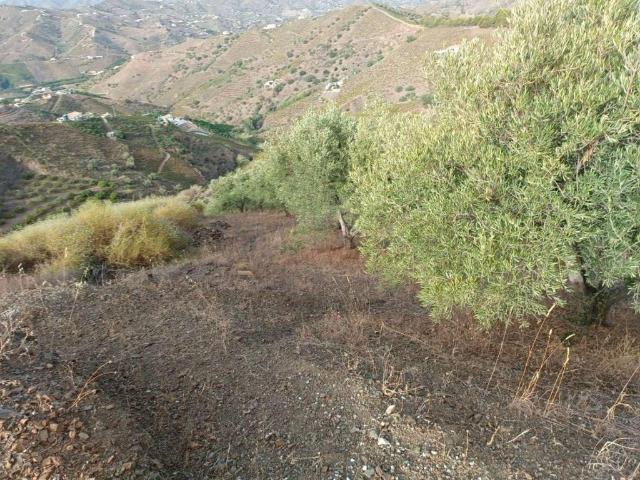 Terreno en venta en Almáchar