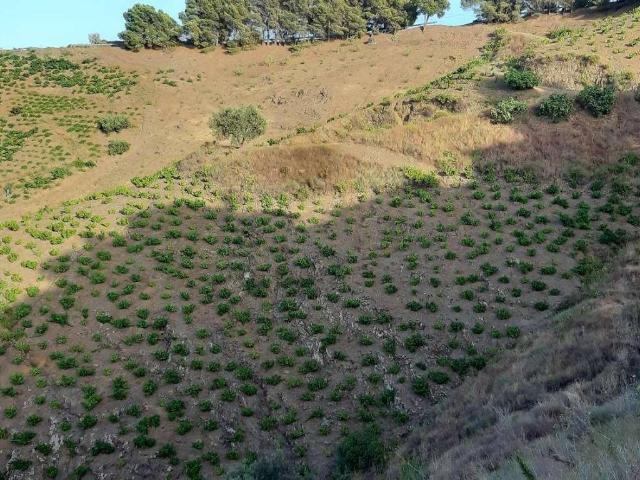 Terreno en venta en Almáchar