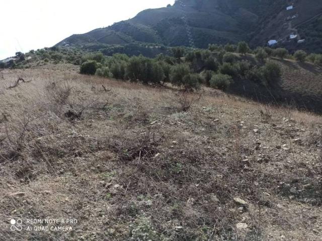 Terreno en venta en La Axarquía, Andalucía