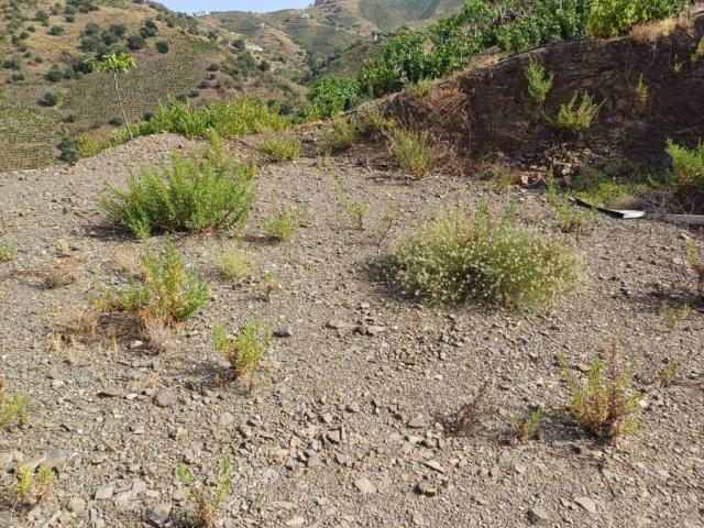 Terreno en venta en La Axarquía, Andalucía