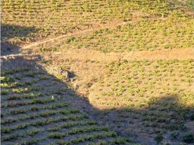 Terreno en venta en La Axarquía, Andalucía