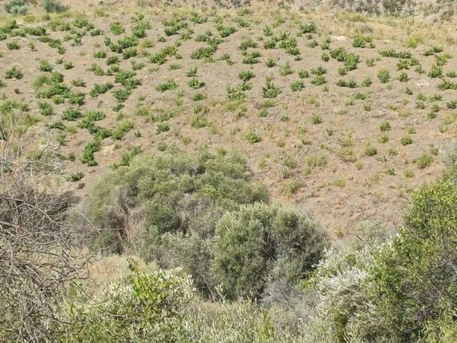 Terreno en venta en La Axarquía, Andalucía
