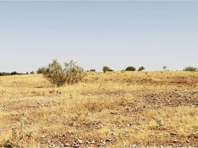 Terreno en venta en Almadén, Castilla-La Mancha