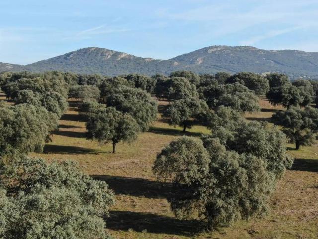 Terreno en venta en Almadén, Castilla-La Mancha