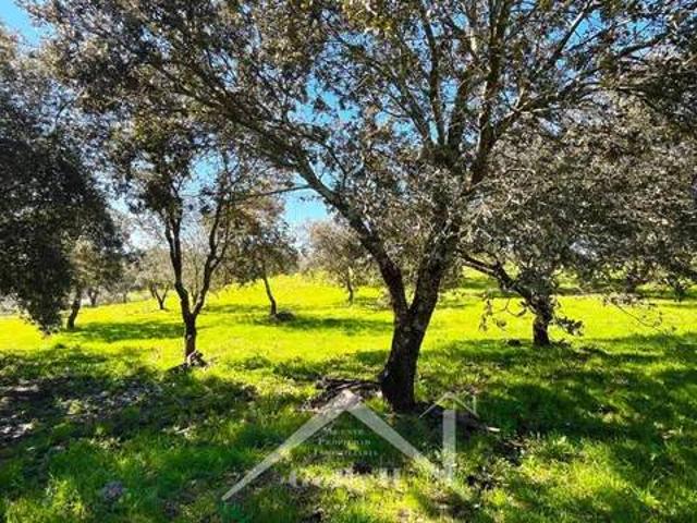 Terreno en venta en Almadén De La Plata, Andalucía
