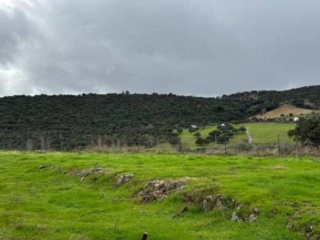 Terreno en venta en Almadén De La Plata, Andalucía
