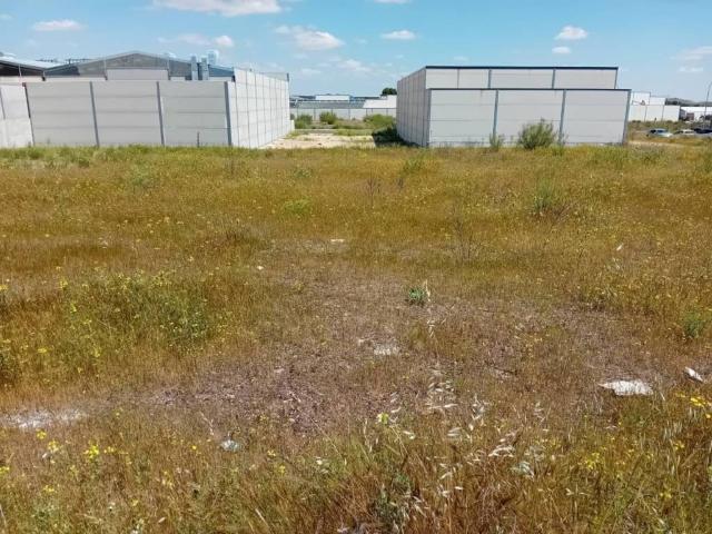 Terreno en venta en Almagro, Castilla-La Mancha