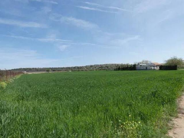 Terreno en venta en Almagro, Castilla-La Mancha