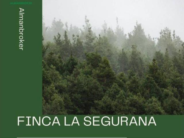 Terreno en venta en Almansa, Castilla-La Mancha