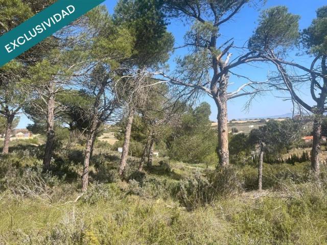 Terreno en venta en Almansa, Castilla-La Mancha