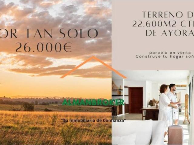 Terreno en venta en Almansa, Castilla-La Mancha