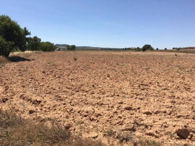 Terreno en venta en Almansa, Castilla-La Mancha