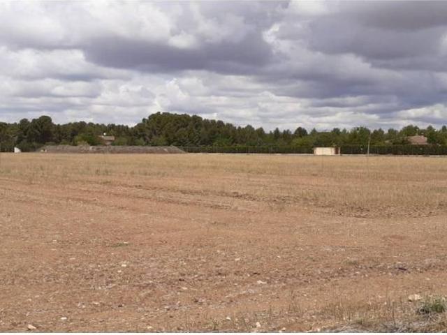 Terreno en venta en Almansa, Castilla-La Mancha