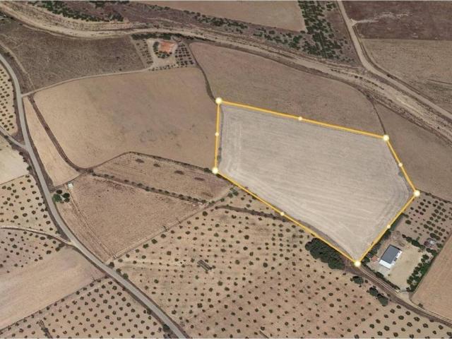 Terreno en venta en Almansa, Castilla-La Mancha