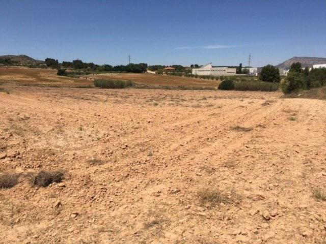 Terreno en venta en Almansa, Castilla-La Mancha