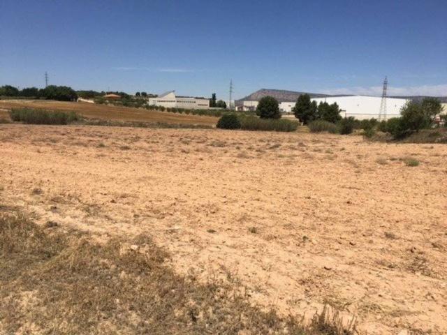 Terreno en venta en Almansa, Castilla-La Mancha