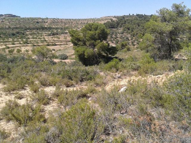 Terreno en venta en Segrià, Catalunya