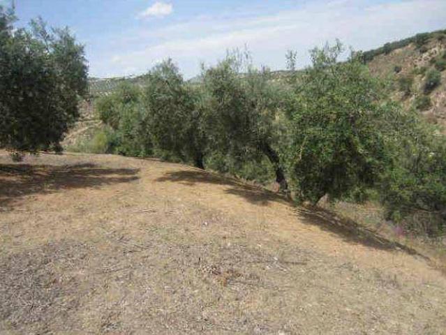 Terreno en venta en Almedinilla, Andalucía