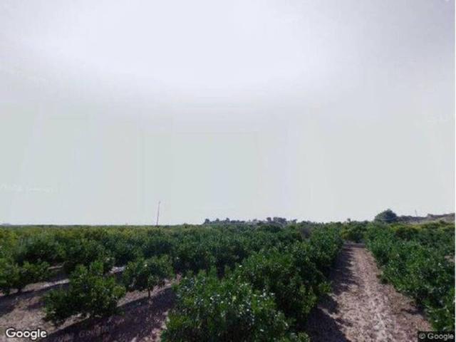 Terreno en venta en la Plana Baixa, Valencia