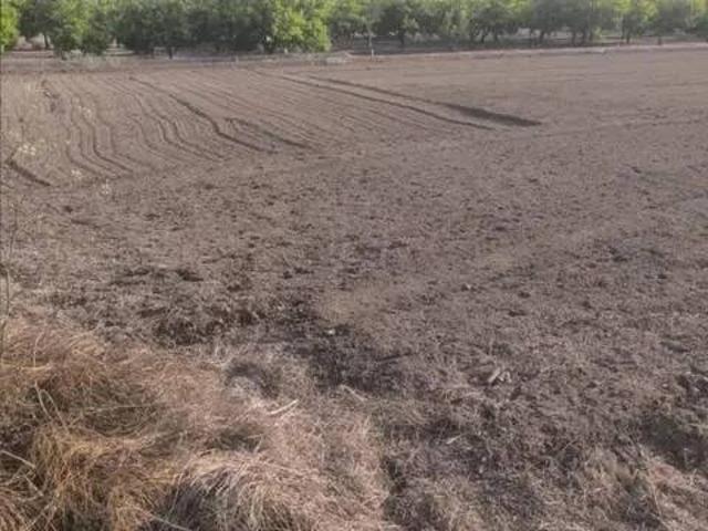 Terreno en venta en la Plana Baixa, Valencia