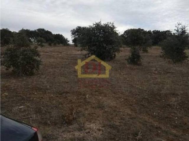 Terreno en venta en Almenara De Tormes, Castilla y León