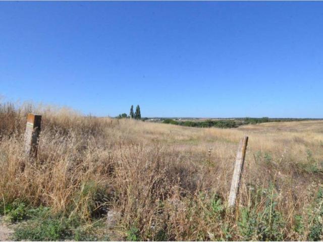 Terreno en venta en Almenara De Tormes, Castilla y León