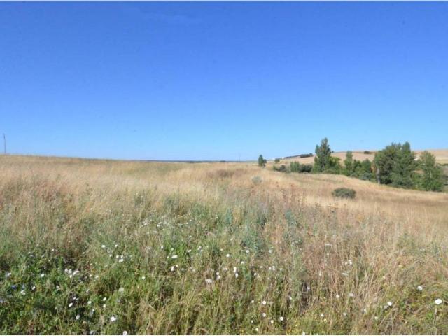 Terreno en venta en Almenara De Tormes, Castilla y León