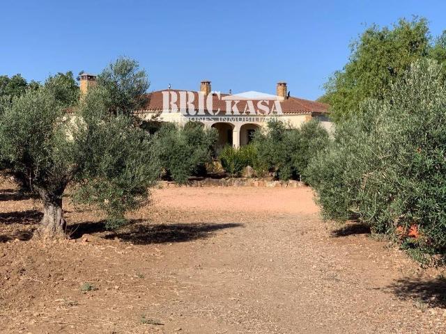 Terreno en venta en Llanos de Olivenza, Extremadura
