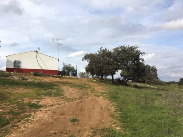 Terreno en venta en Almendral