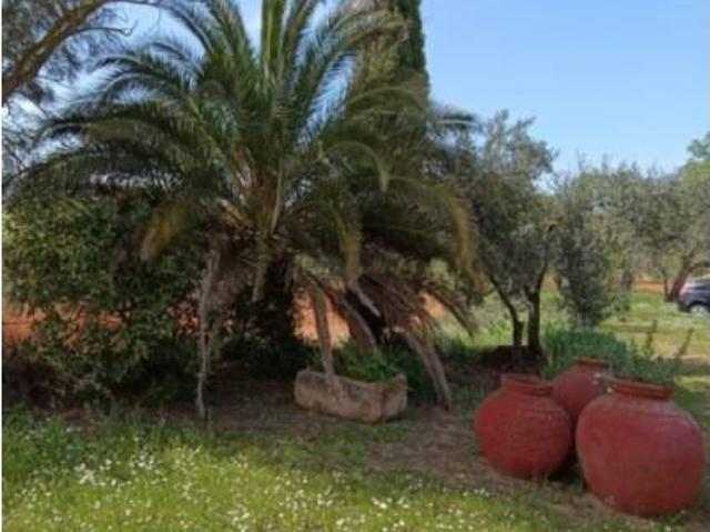 Terreno en venta en Tierra de Barros, Extremadura