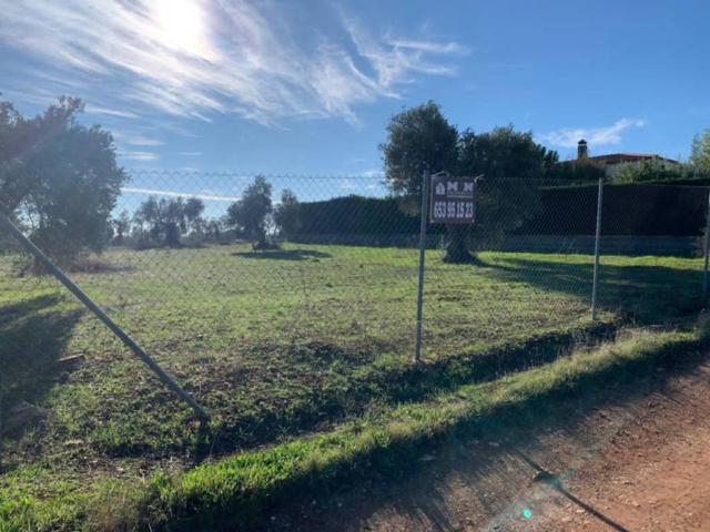 Terreno en venta en Almendralejo