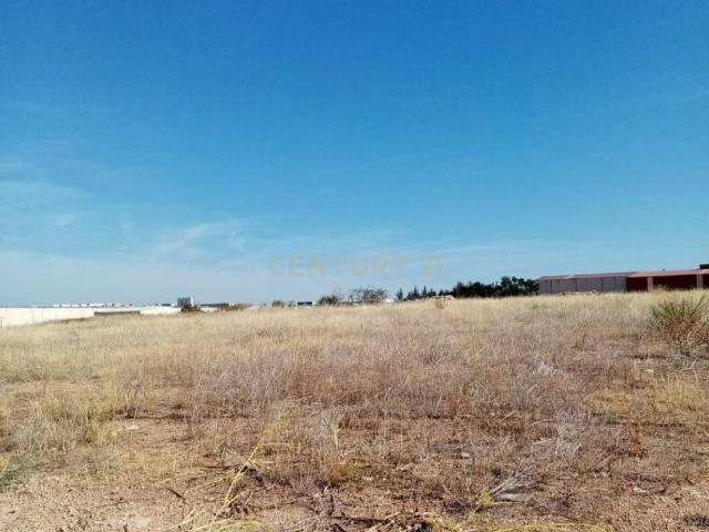 Terreno en venta en Almendralejo