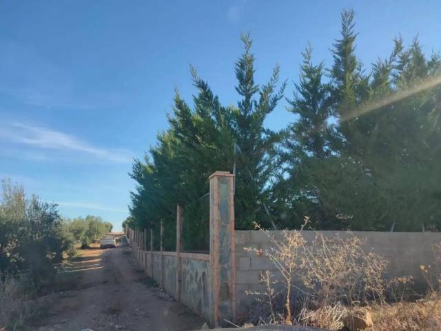 Terreno en venta en Tierra de Barros, Extremadura