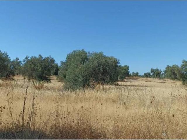 Terreno en venta en Tierra de Barros, Extremadura