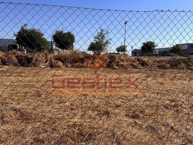Terreno en venta en Almendralejo, Badajoz
