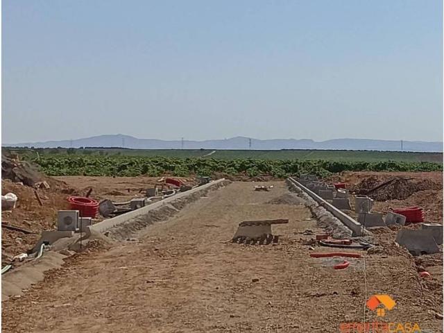 Terreno en venta en Tierra de Barros, Extremadura