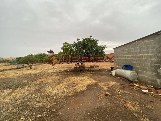 Terreno en venta en Tierra de Barros, Extremadura