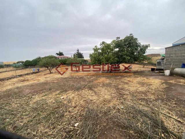 Terreno en venta en Tierra de Barros, Extremadura