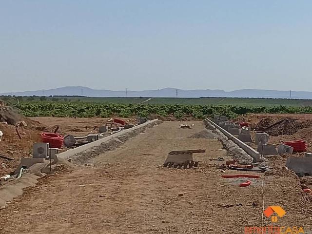 Terreno en venta en Almendralejo, Badajoz