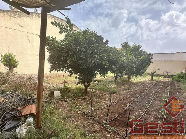Terreno en venta en Almendralejo