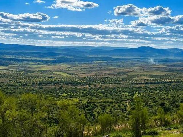 Terreno en venta en Tierra de Barros, Extremadura
